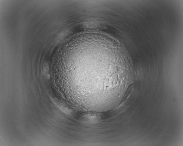 X0000077280187200610271508