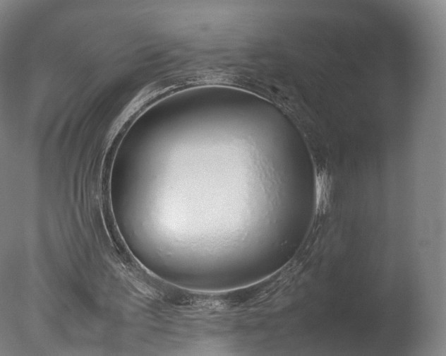 X0000077280195200610271507