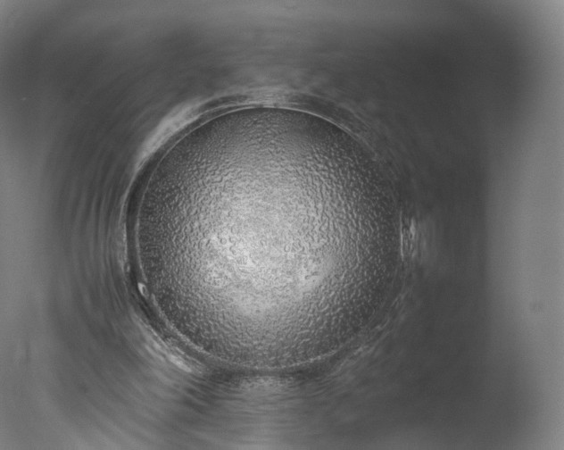 X0000077280198200610271507