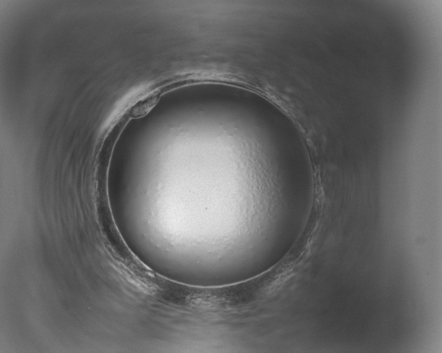 X0000077280199200610271507