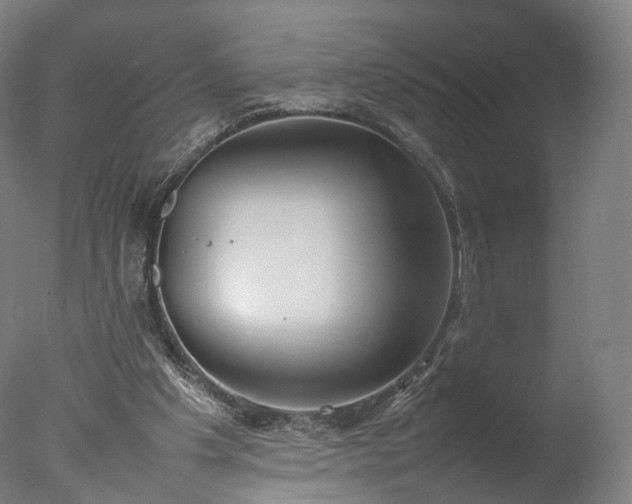 X0000077280201200610271507