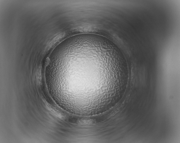 X0000077280202200610271507