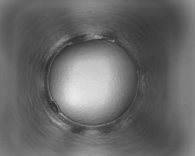 X0000077280203200610271507