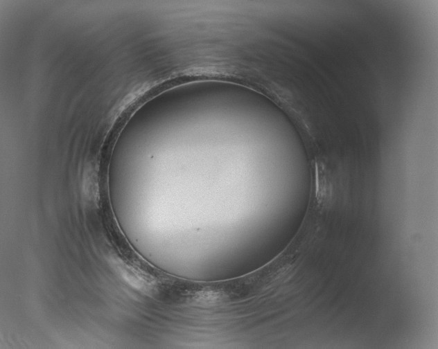 X0000077280204200610271507