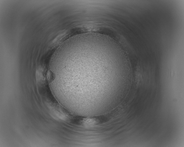 X0000077280218200610271507