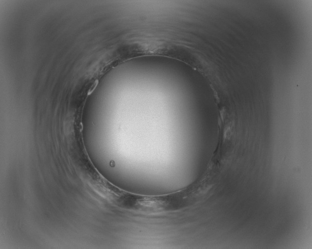 X0000077280221200610271507