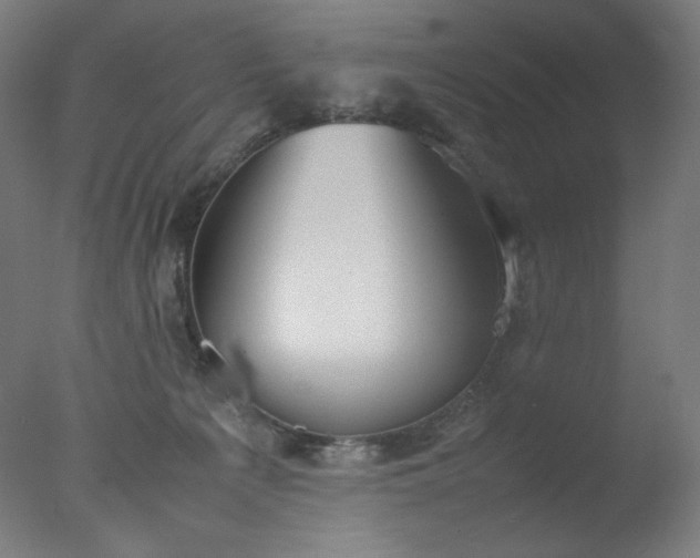 X0000077280225200610271507