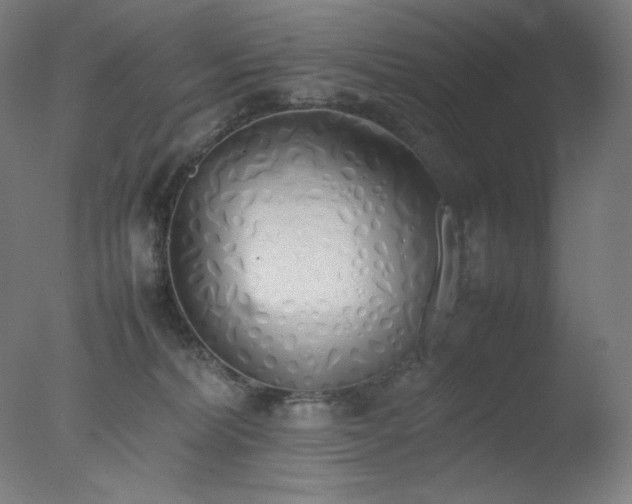 X0000077280228200610271507