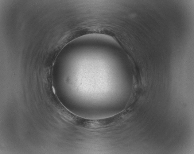X0000077280229200610271507