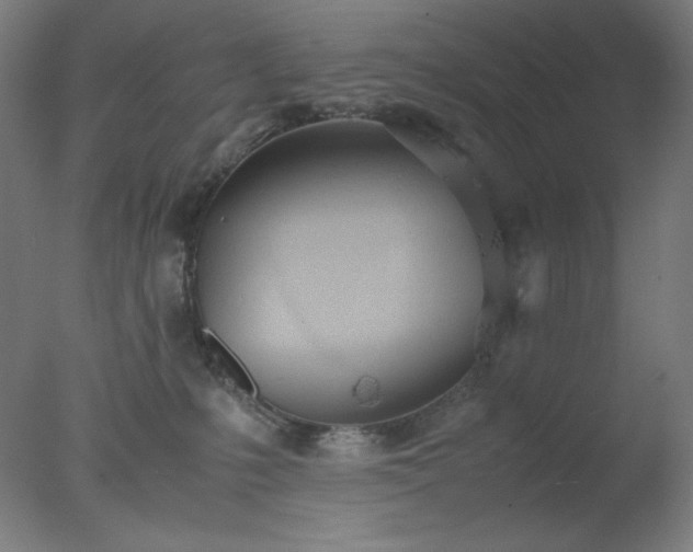 X0000077280231200610271507