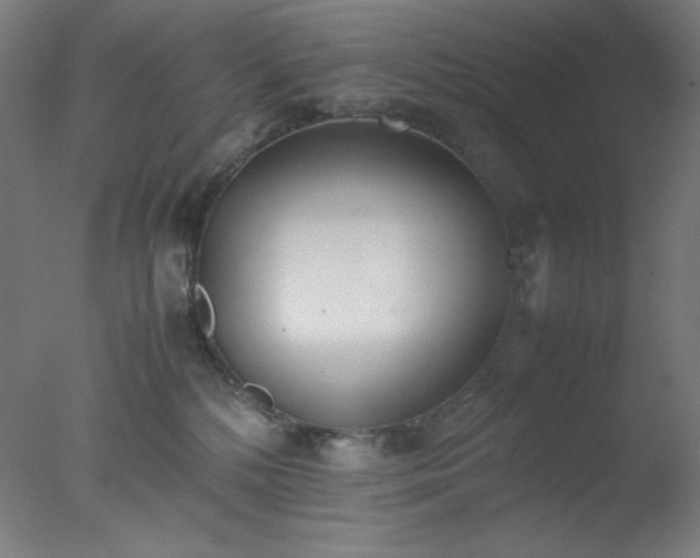 X0000077280232200610271507