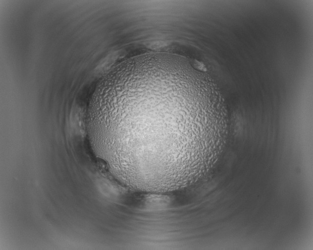 X0000077280234200610271506