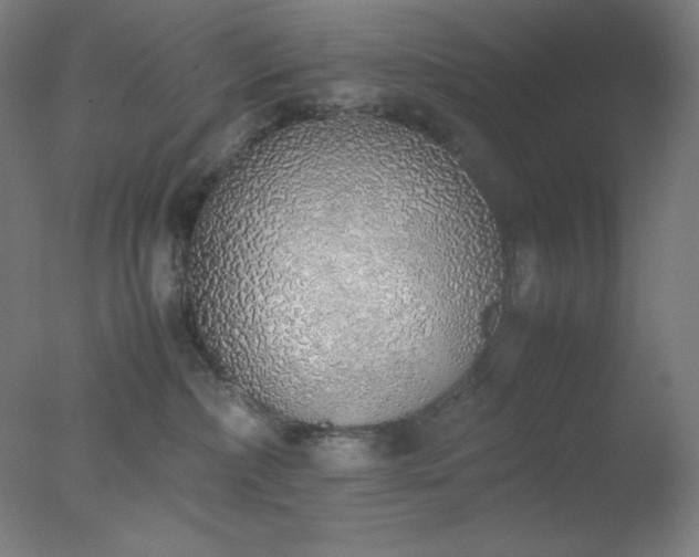 X0000077280236200610271506