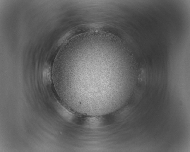 X0000077280238200610271506