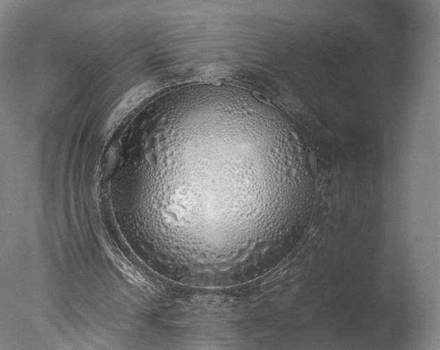 X0000077280242200610271506