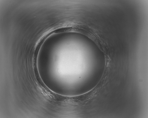 X0000077280244200610271506