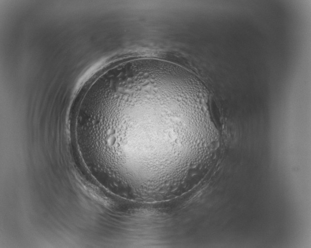 X0000077280246200610271506