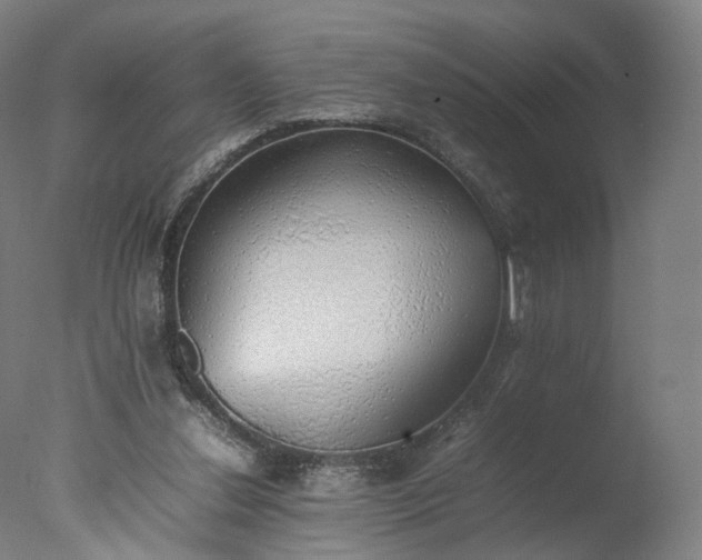 X0000077280252200610271506