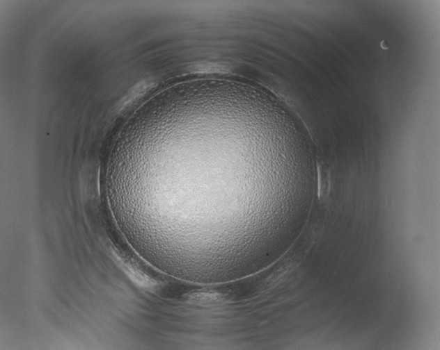 X0000077280253200610271506