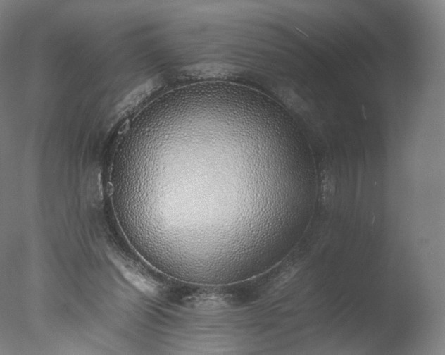 X0000077280254200610271506