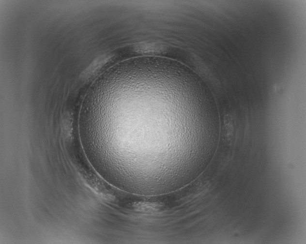 X0000077280255200610271506