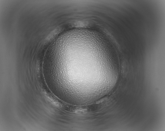 X0000077280257200610271506