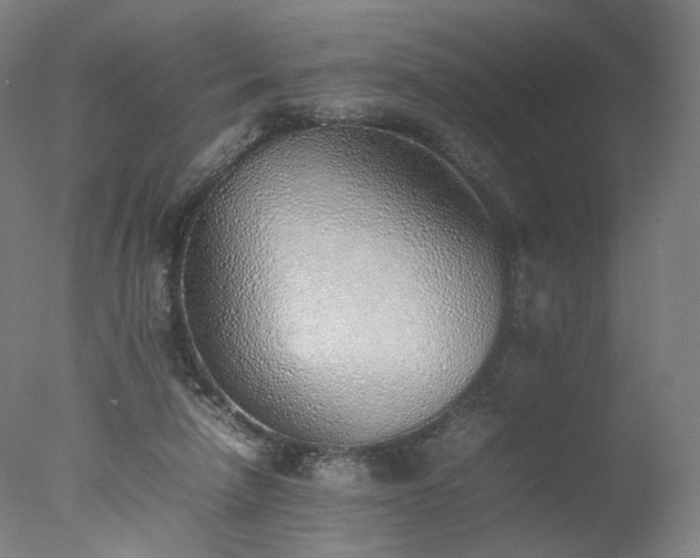 X0000077280258200610271506