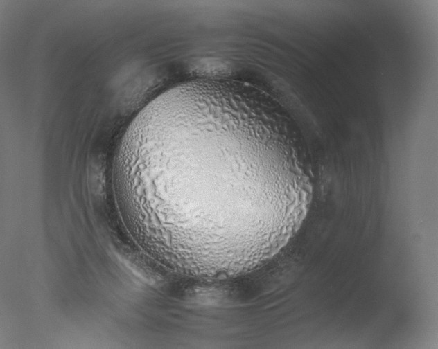 X0000077280259200610271506