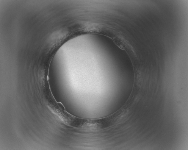 X0000077280260200610271506