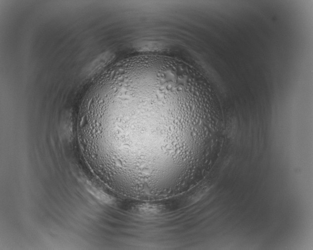 X0000077280261200610271506