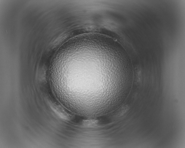 X0000077280266200610271506