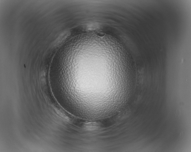 X0000077280269200610271506