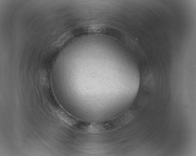 X0000077280270200610271506