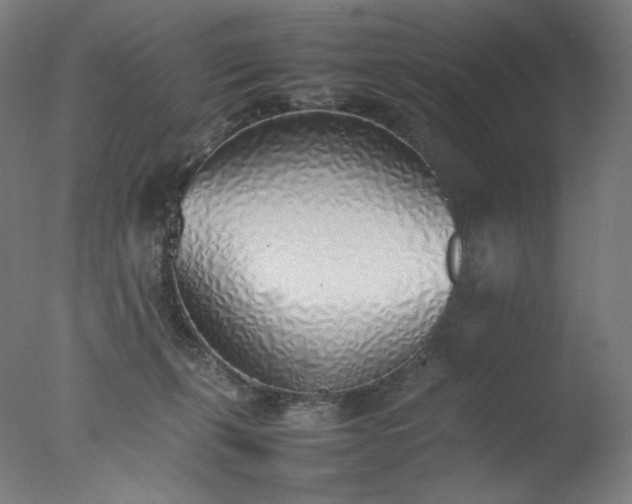 X0000077280271200610271506