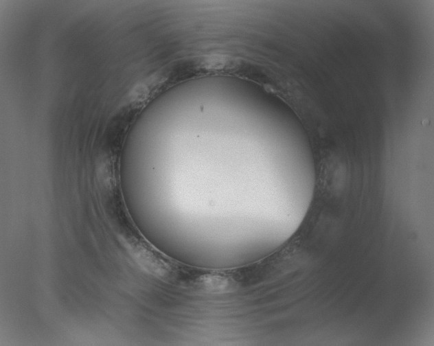 X0000077280272200610271506