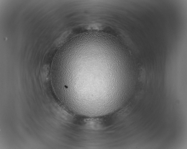 X0000077280273200610271506