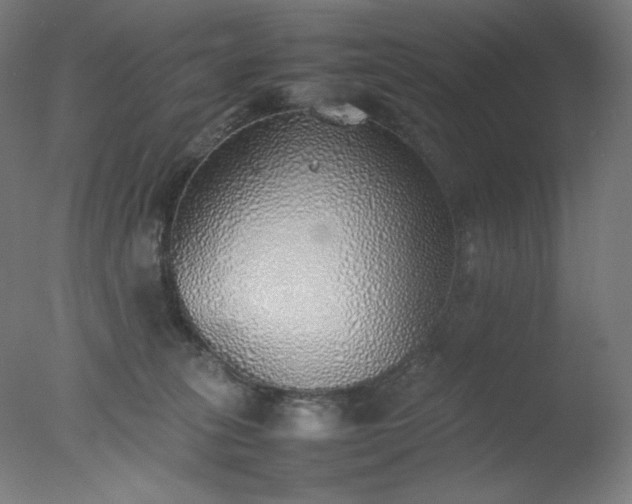 X0000077280275200610271506