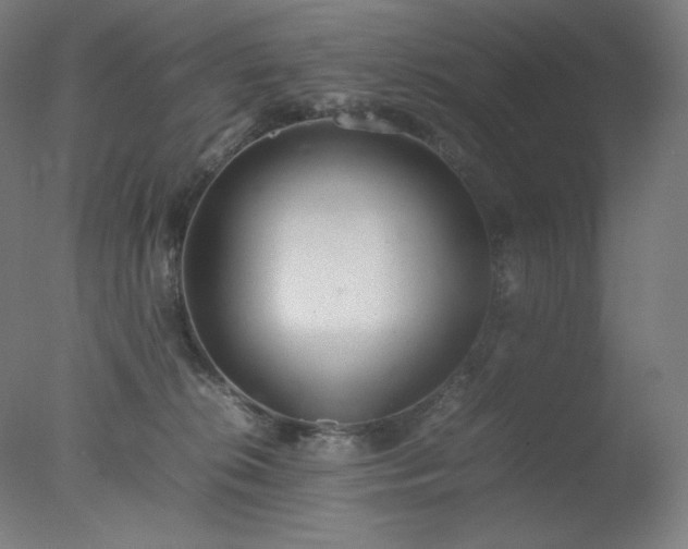 X0000077280276200610271506