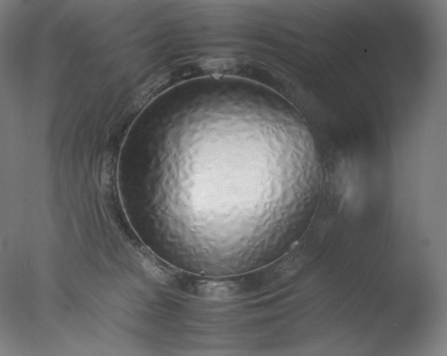 X0000077280277200610271506