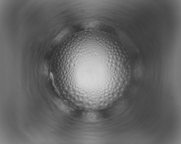 X0000077280282200610271506