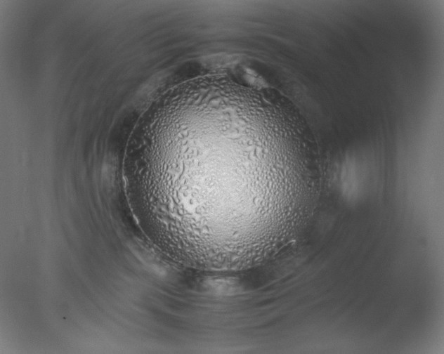 X0000077280283200610271506