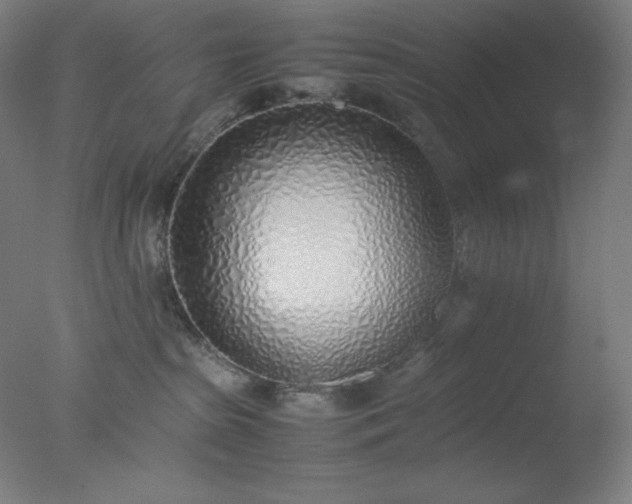 X0000077280285200610271506