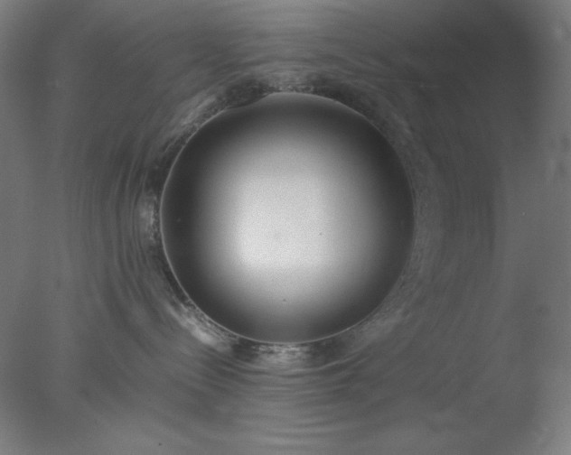 X0000077280288200610271506