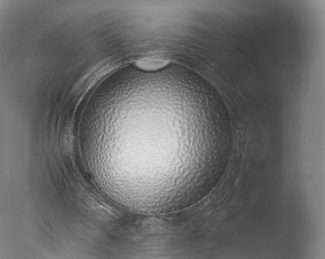 X0000077280290200610271506