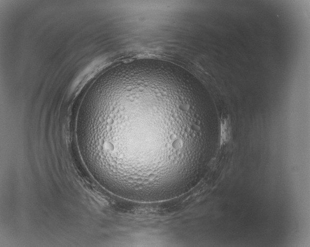 X0000077280291200610271506