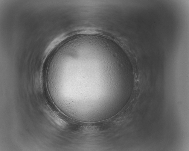 X0000077280296200610271505