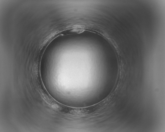 X0000077280297200610271505