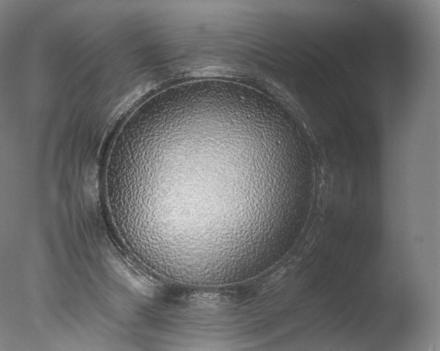 X0000077280298200610271505
