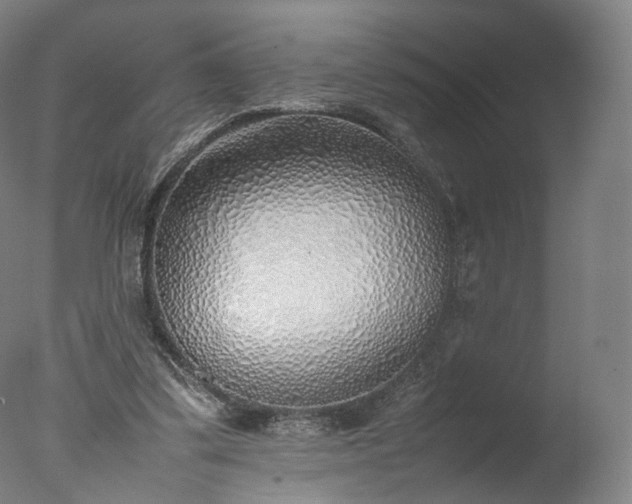 X0000077280299200610271505