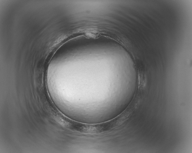 X0000077280301200610271505